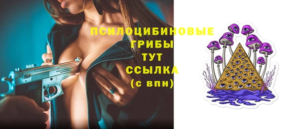 дмт Алзамай