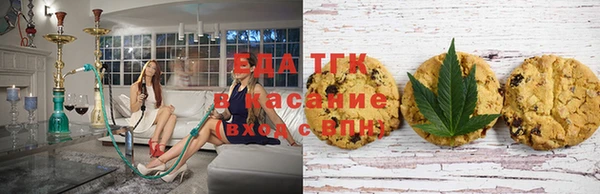 дмт Алзамай