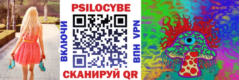 Купить  Плёс  Псилоцибиновые грибы мицелий 